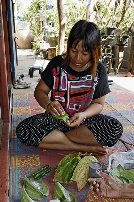 Famille et amis NOV11-006